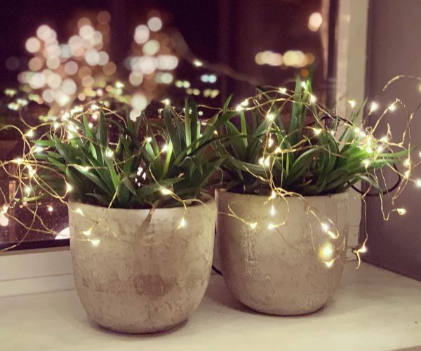 131035109_3439766569405586_3715048093295419473_n